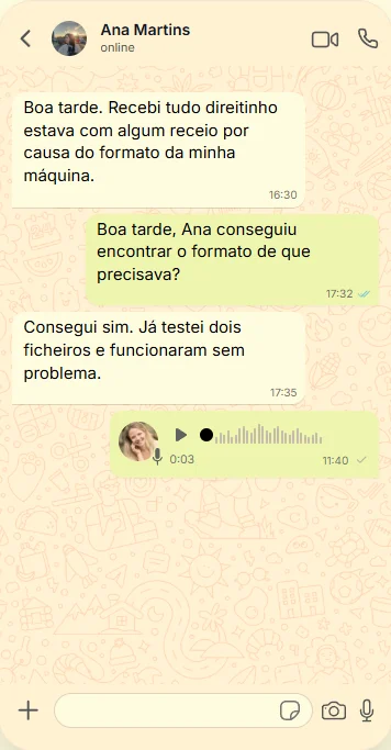 Conversa de WhatsApp com a cliente Ana Martins